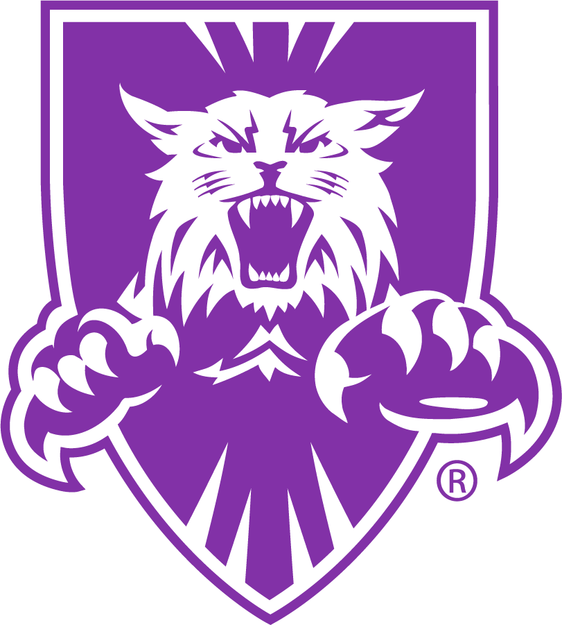 Weber State Wildcats 1996-2012 Alternate Logo v2 diy DTF decal sticker